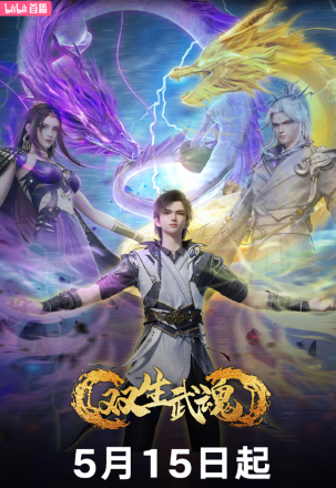 Poster Song Sinh Võ Hồn